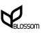 Blossom  Ilion