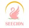 Seecion